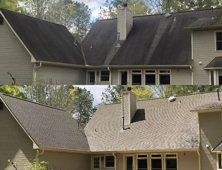 Close up of roof granules protected during professional soft washing in connecticut